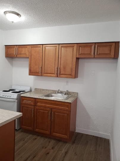 Photo - Buena Ventura