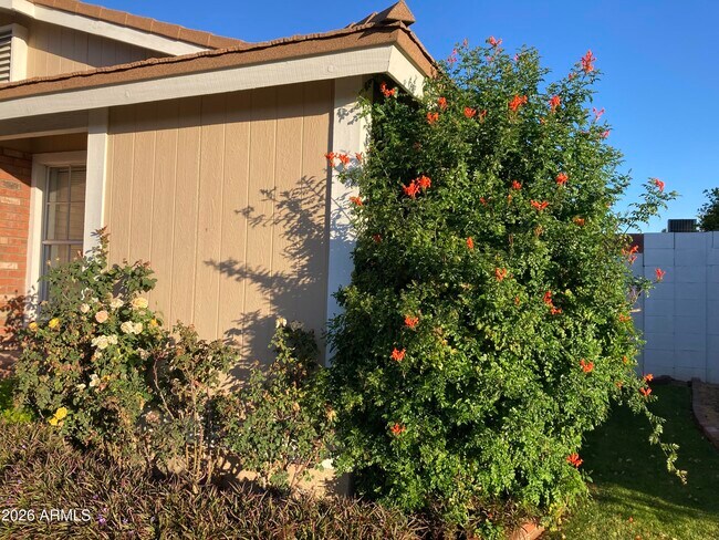 Photo - 314 E Campo Bello Dr