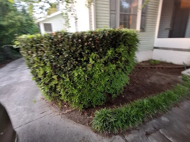 Photo - 933 S Ponce De Leon Cir