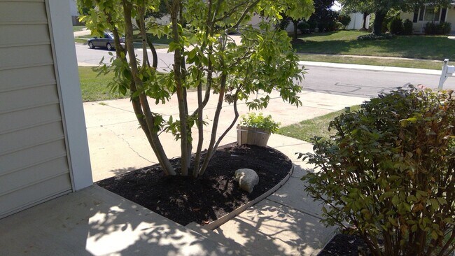 Photo - 2 Story Clayton Home