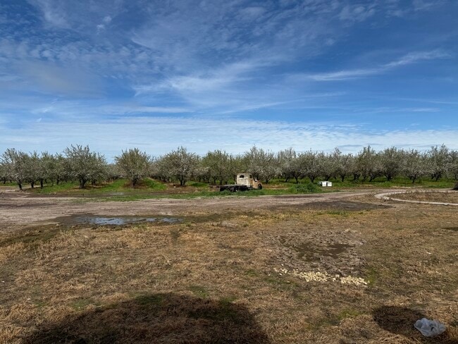 Photo - 31195 Lone Tree Rd