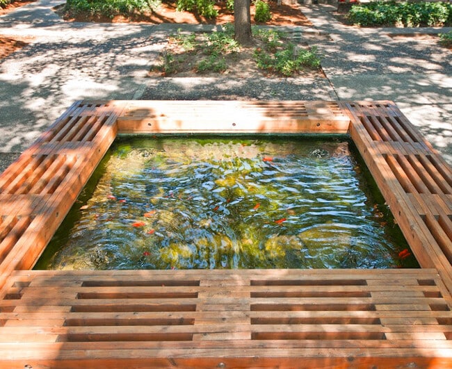 Photo - King Plaza Apartments