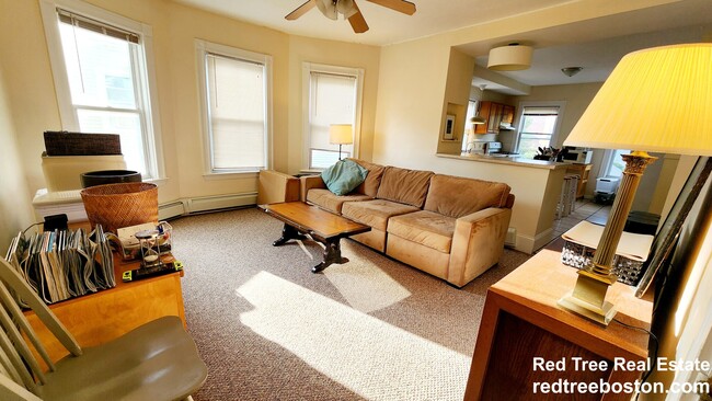 Photo - 11 Holton St