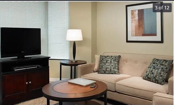 Staged Living room