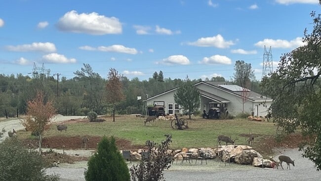 Photo - Breathtaking Views – Brand New 2 Bed, 1.5 Bath Home for Rent! Available Nov 1st | Mt. Bally | Mt...