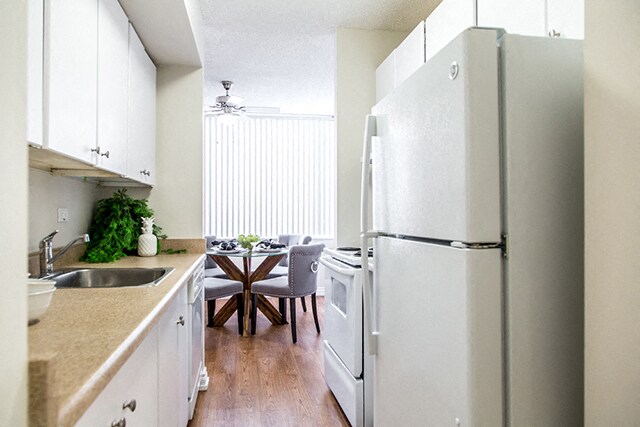 Photo - MacDonald Estates