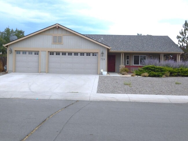 Building Photo - Large Home on large lot in Dayton Nevada
