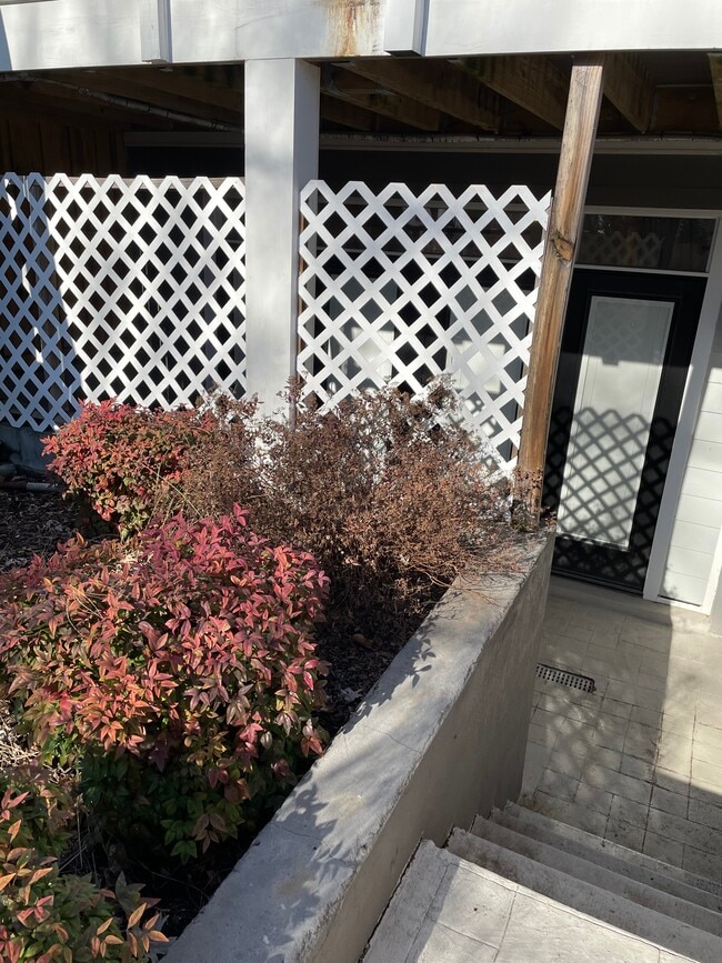 Entrance to basement apartment - 3628 T St NW Unidad Basement