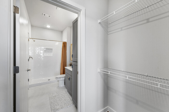 Bathroom and Closet - 100 Labor Downtown Apartments