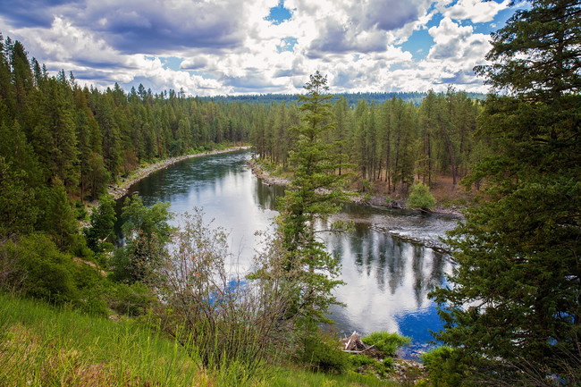 Copper River Apartments For Rent in Spokane, WA | ForRent.com