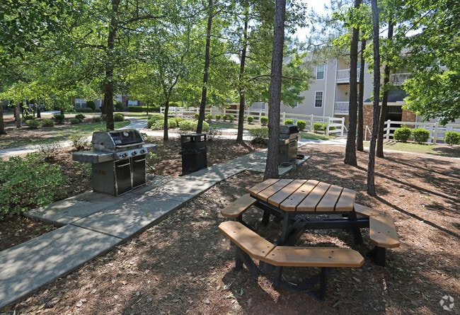 Picnic/Grill Area