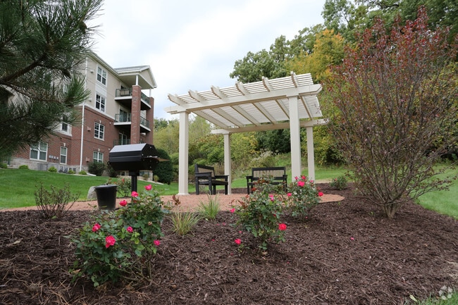 Charcoal grilling area