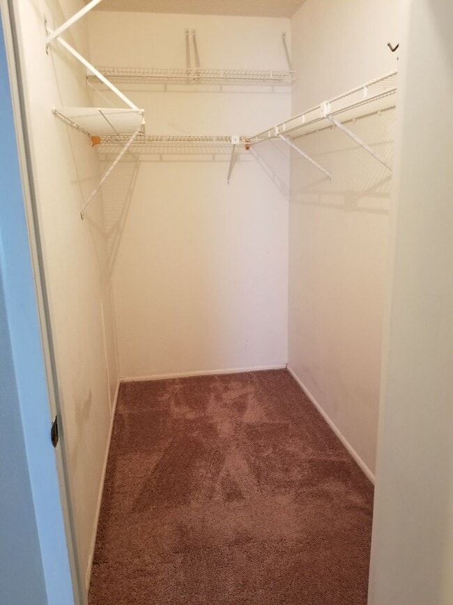 Photo - 14213 Shadow Moss Ln Unit 101