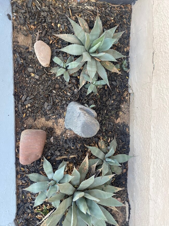 Photo - 8461 W Washington St