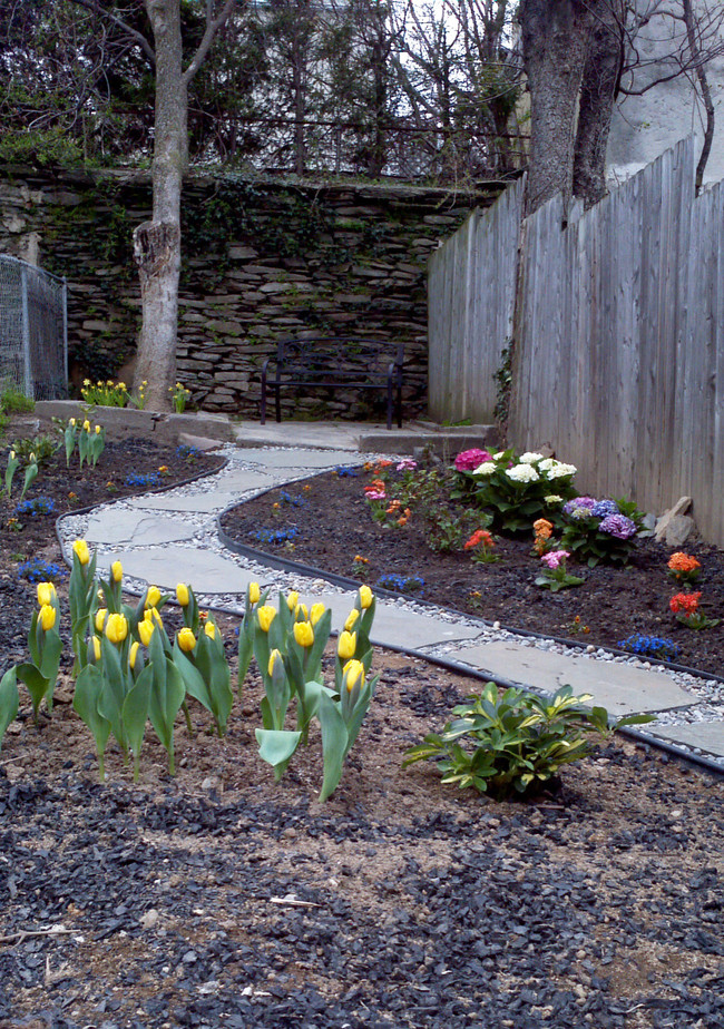 landscaped yard - 218 E Elm St House