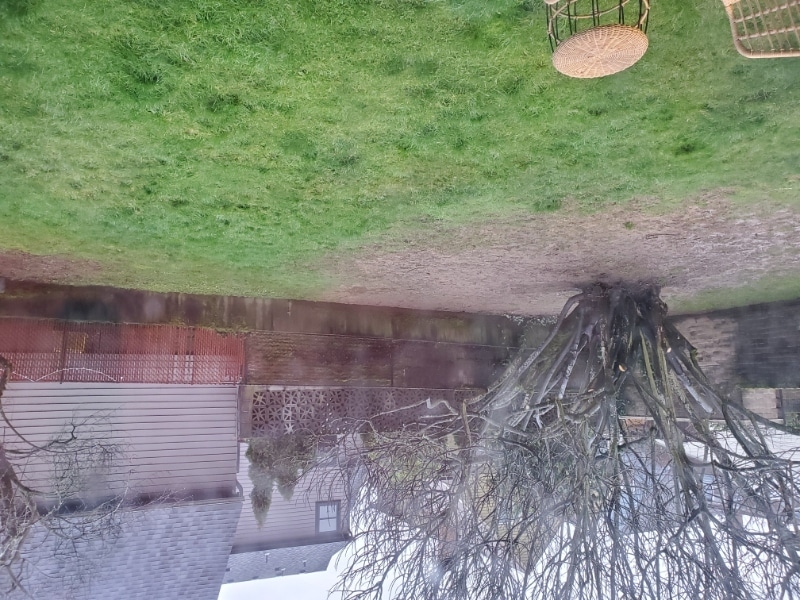 Photo - 1734 SE 20th Ave