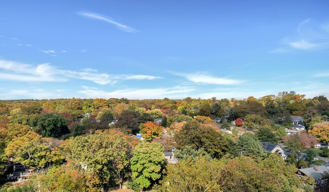 Modern apartments located in Chevy Chase, MD