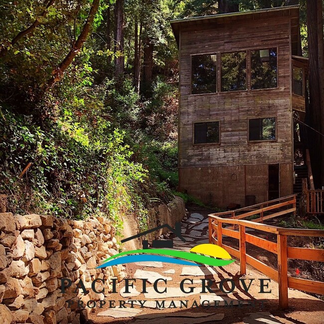 Building Photo - Cabin on Palo Colorado