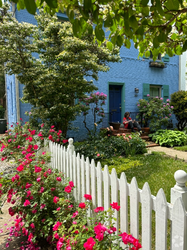 Building Photo - 4514 Albemarle St NW Rental