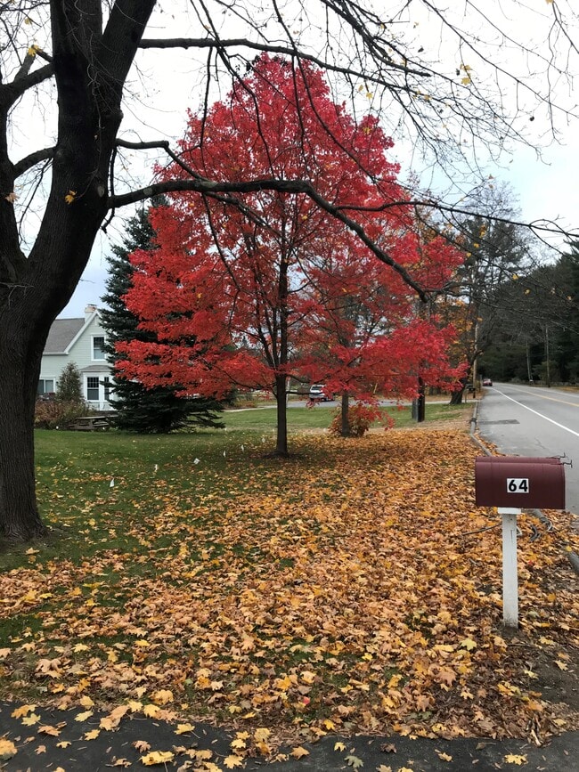 Front lawn in fall - 1 Harris Drive