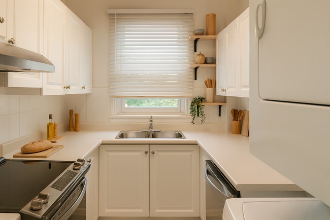 Building Photo - 50 & 52 MacLaren