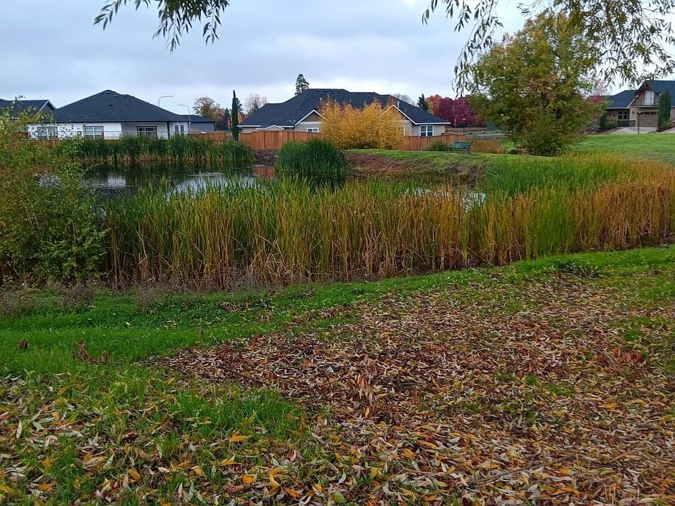 Photo - 925 Callaway Dr
