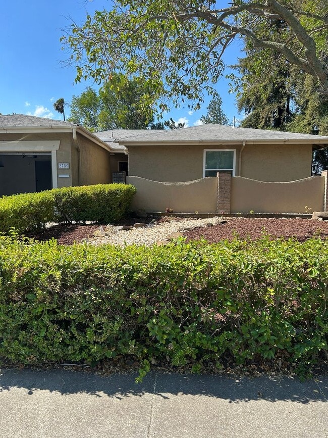 Come See Today - Come See Today Casa