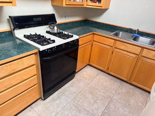 Gas stove