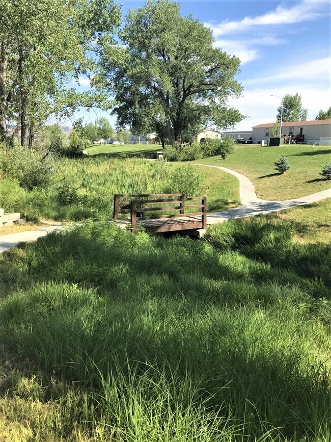 Photo - 26 Bing St N