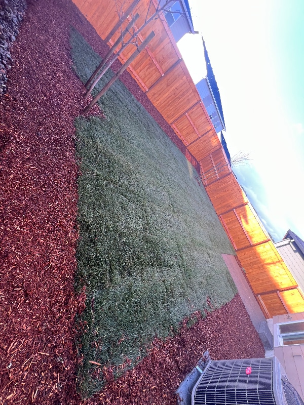 Photo - 329 Stella St NE