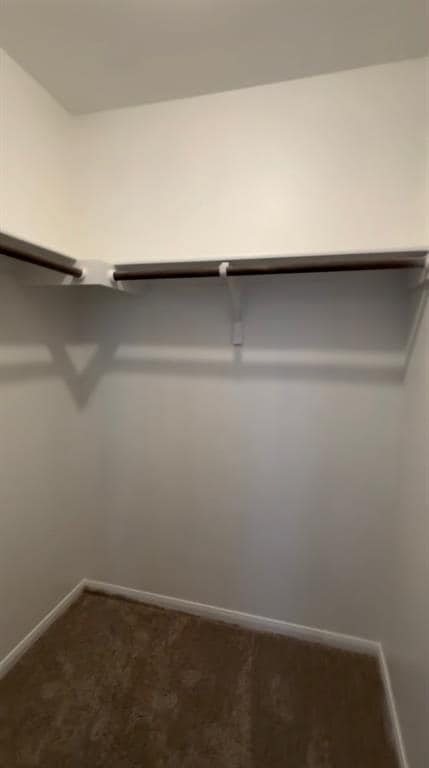 137 Rafe Ct