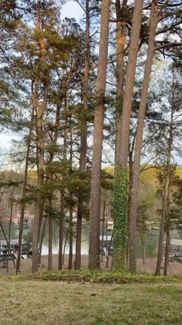 Photo - 2109 Pine Tree Dr