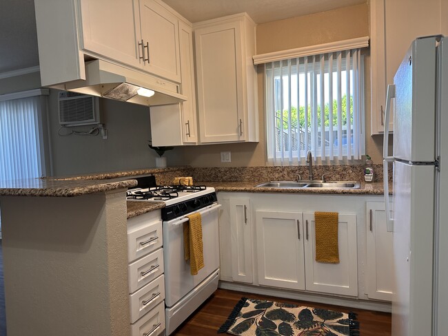 Photo - Palma Imperial