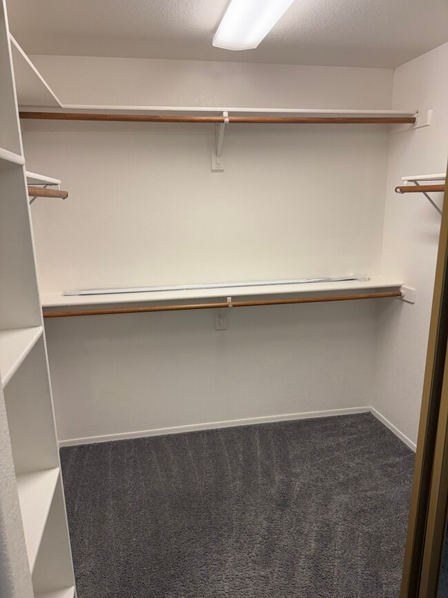 Photo - 12152 N Finch Dr