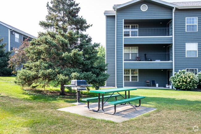 Community Grills and Picnic Tables