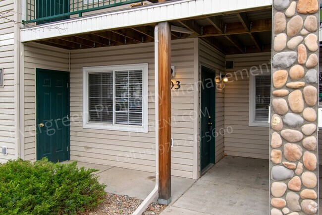 Building Photo - Amazing 2 Bedroom on City Park! Rental