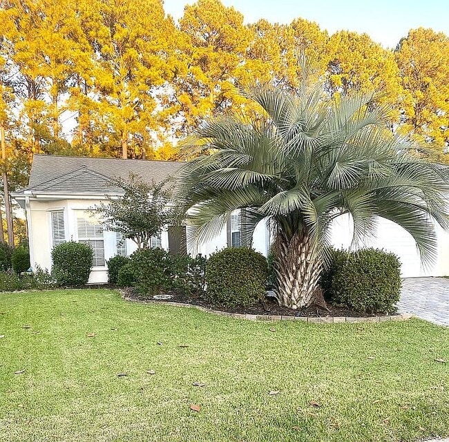 Building Photo - 27 Lacebark Ln