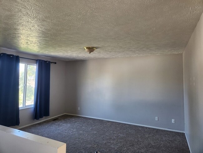 Photo - 12936 Timpview Dr
