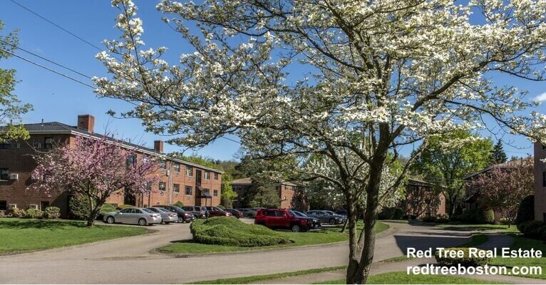 Photo - 270 Grove St Unidad 6