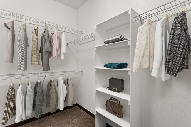 Photo - Covell on the Promenade