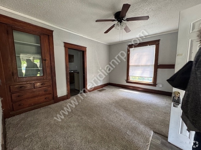 Building Photo - 555 Lincoln Ave Rental