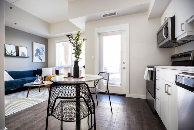 30 Bison 1BDR - Bison Pointe