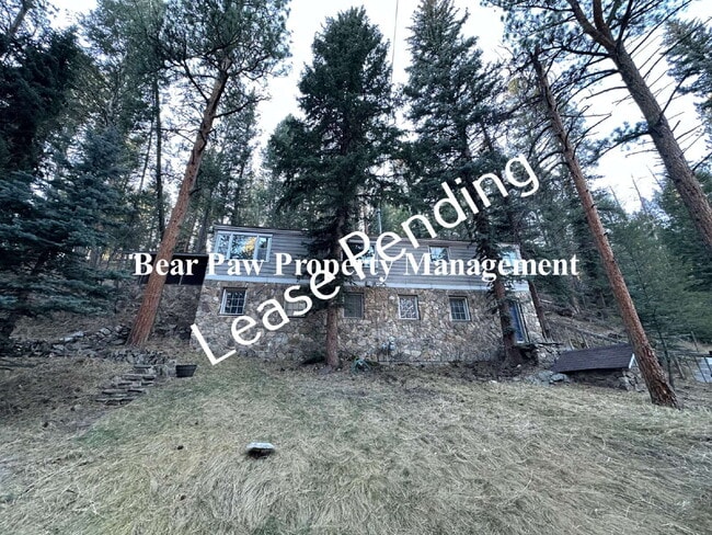 Building Photo - Rustic Stone Home on Witter Gulch!!