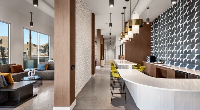 Photo - Roadrunner on McDowell