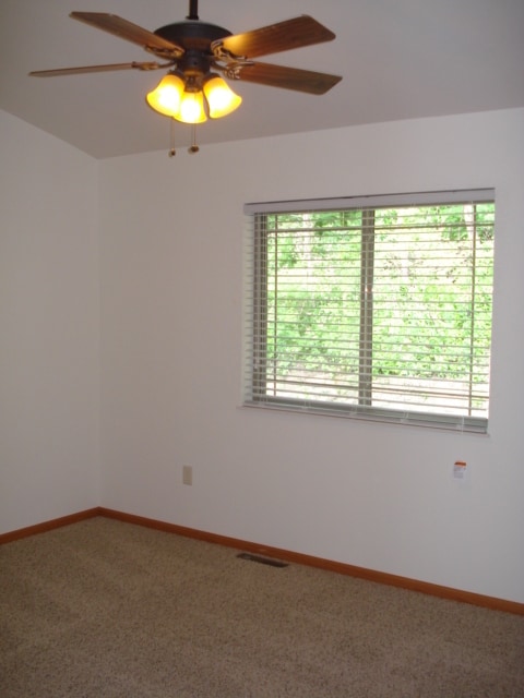 Photo - 3809 Cliffside Dr Unit 4