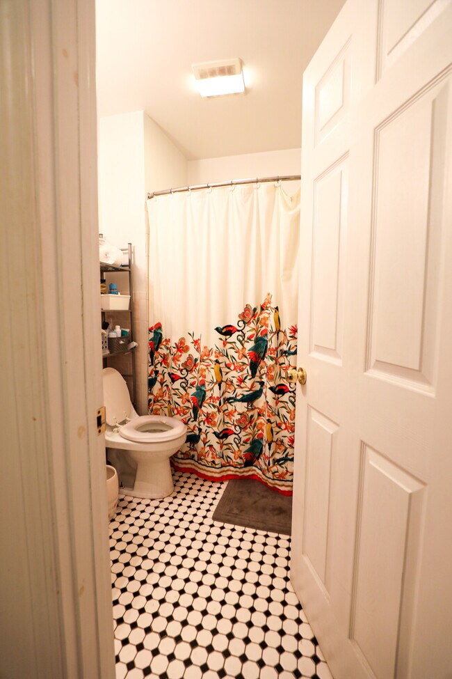 Building Photo - 60 Egmont St Unit 5