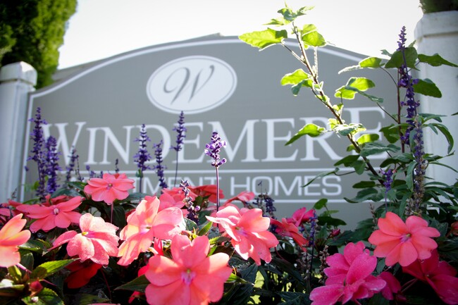 Windemere Apartments - Windemere Apartments