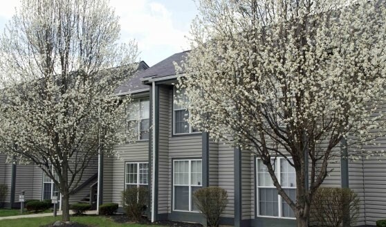 Tussing Corner Apartments - Tussing Corner Apartments