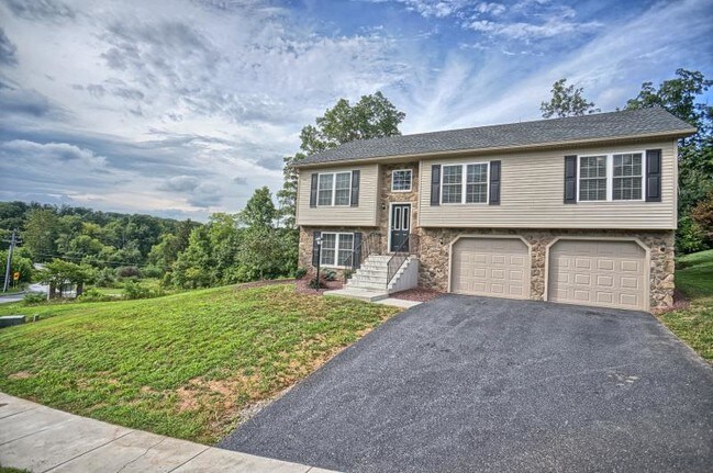 Photo - 15 Scarlet Oak