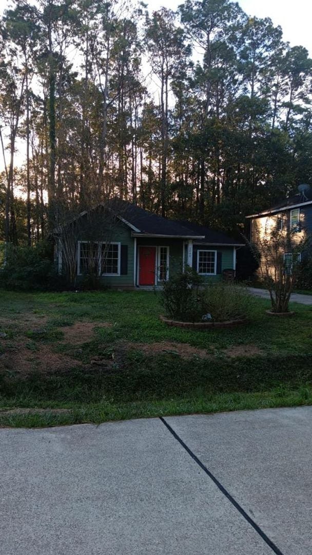 Completely Renovated House with a Forest a... - Completely Renovated House with a Forest a...